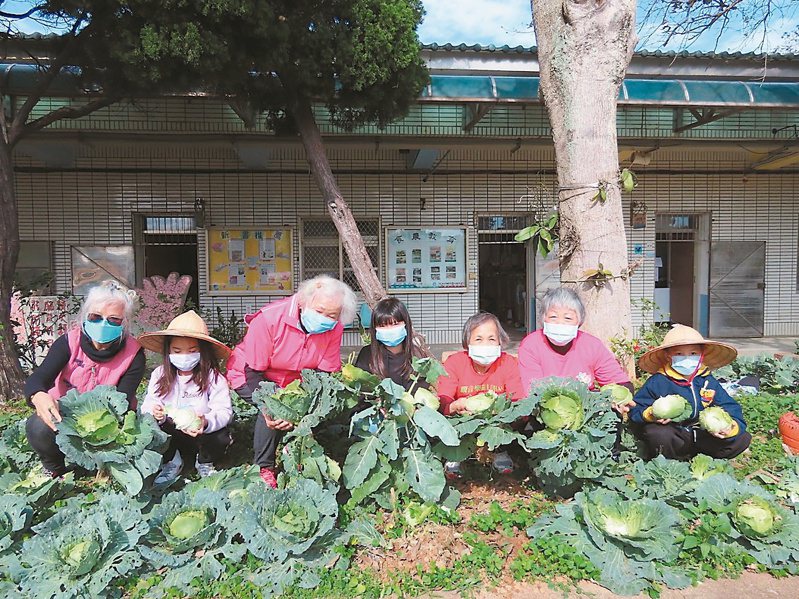 桃園市觀音區樂齡學習中心與育仁國小結合推出「老幼共學」課程，一起學習栽種有機蔬菜。
圖／桃園市教育局提供