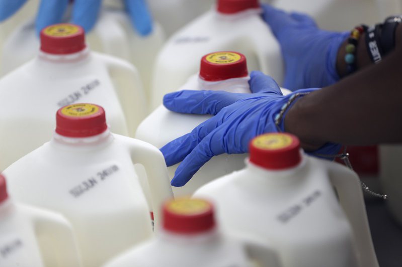 日本牛乳產量過剩，去年底面臨恐大量報廢5000噸壓力。美聯社