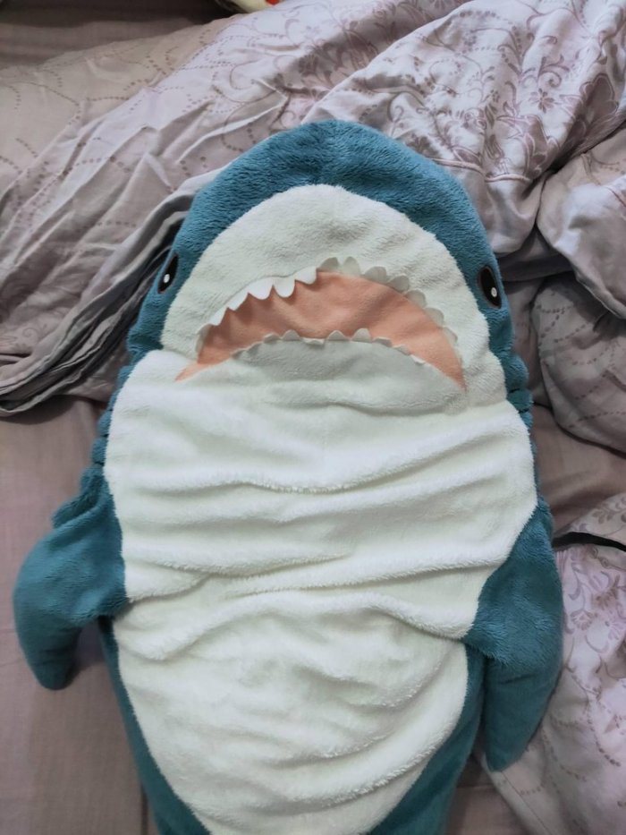 網友分享爸爸使用半年的鯊魚抱枕，笑稱變成比目魚。圖擷自Dcard