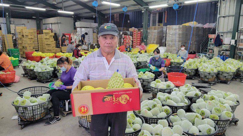華南金融集團採購鳳梨釋迦守護農民。圖／華南金提供