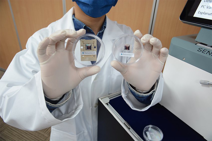 新冠病毒快速檢測晶片展示。 國研院/提供
