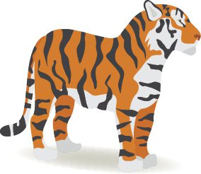 老虎是保育類動物，現在虎骨、虎鞭等已禁止入藥。圖／123RF
