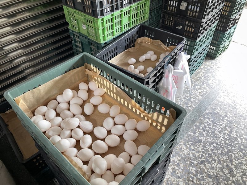 嘉義市某間蛋行今天白蛋已剩1籃，業者一度半拉鐵門，表示否則不夠分兩天賣。記者林伯驊／攝影