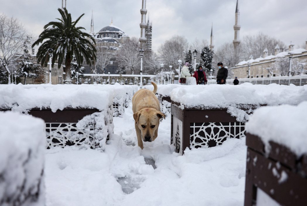 「看看土耳其，就知道『明天過後』是什麼樣子...」圖為伊斯坦堡藍色清真寺外的大雪...
