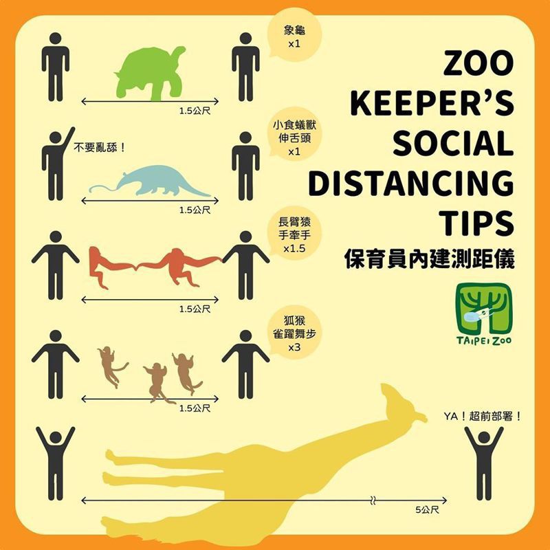 台北市立動物園防疫準則。圖／取自台北市立動物園網站