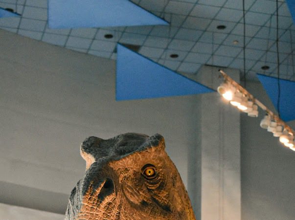 科博館穿制服的恐龍成為打卡熱點，2月6日將脫下制服。圖/ 科博館提供