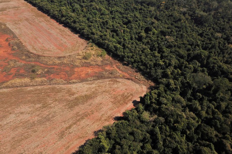 2021年7月28日空拍照顯示巴西亞馬遜雨林濫伐情況。 路透社