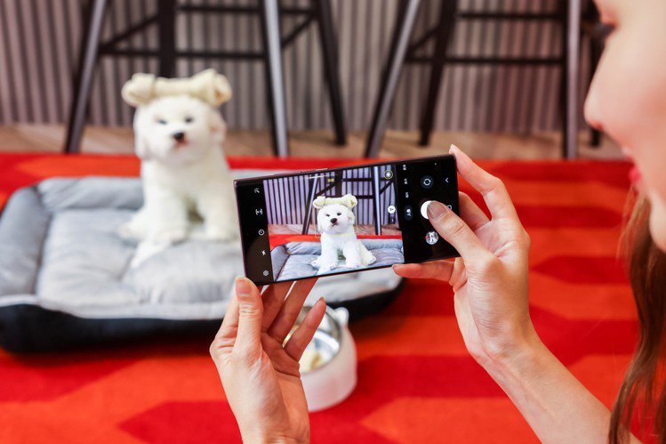 Samsung Galaxy S22系列的人像棚拍模式新增支援貓、狗攝影，毛茸茸...