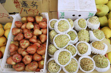 吳其融／鳳梨釋迦出口怎麼了？談台灣果品產銷與中國的關係