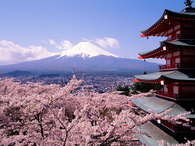 往年3、4月，是國人買機票赴日賞櫻的旅遊旺季。圖／聯合報系資料照片