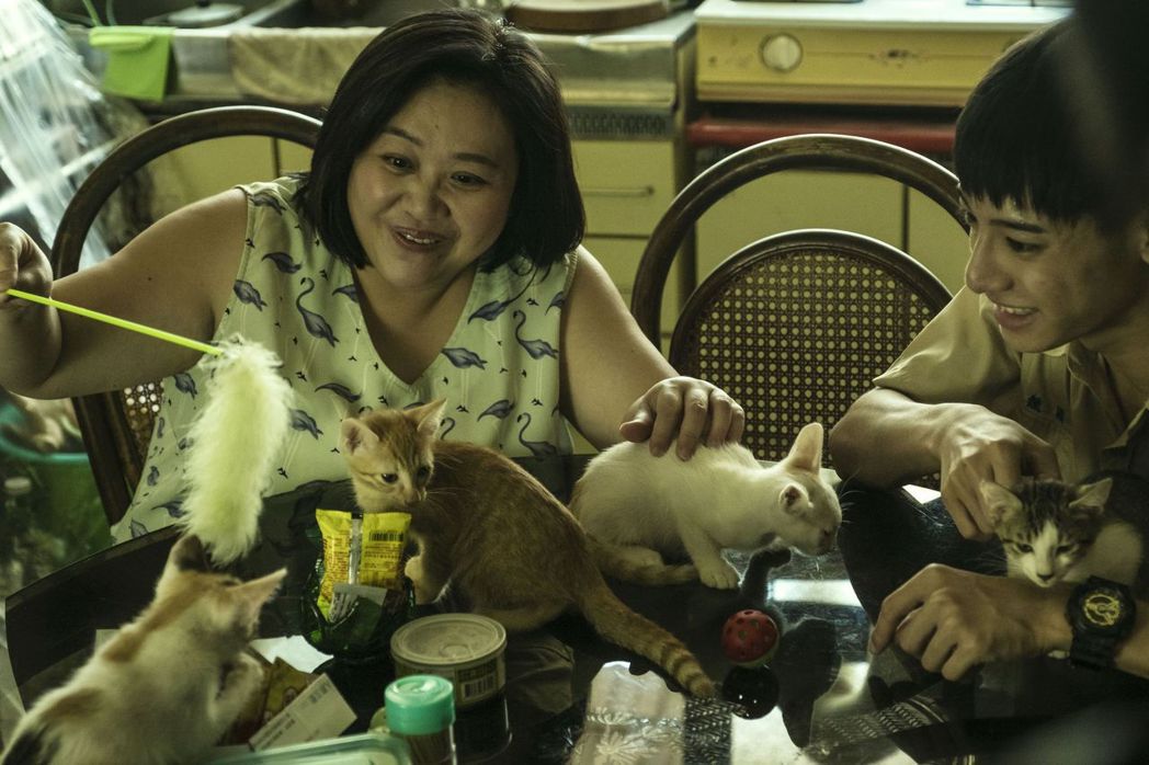 鍾欣凌(左)、劉修甫在「貓的孩子」劇中飾演一對母子。圖／中天綜合台提供