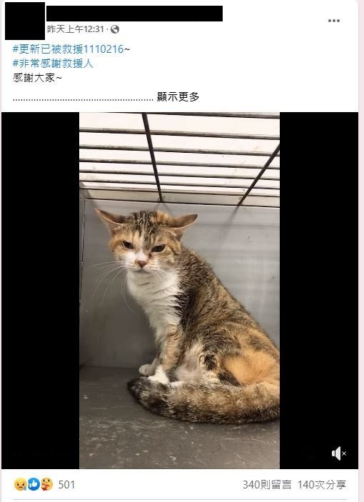 網友在臉書社團發文PO出影片，三花貓在籠內不斷發抖模樣令人心疼，還好有好心人伸出...