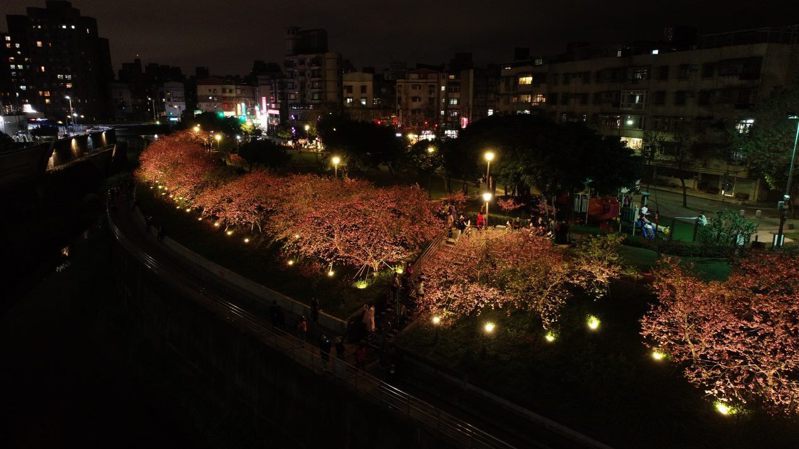 台北內湖樂活公園的樂活夜櫻季空拍照片。圖／北市公園處提供