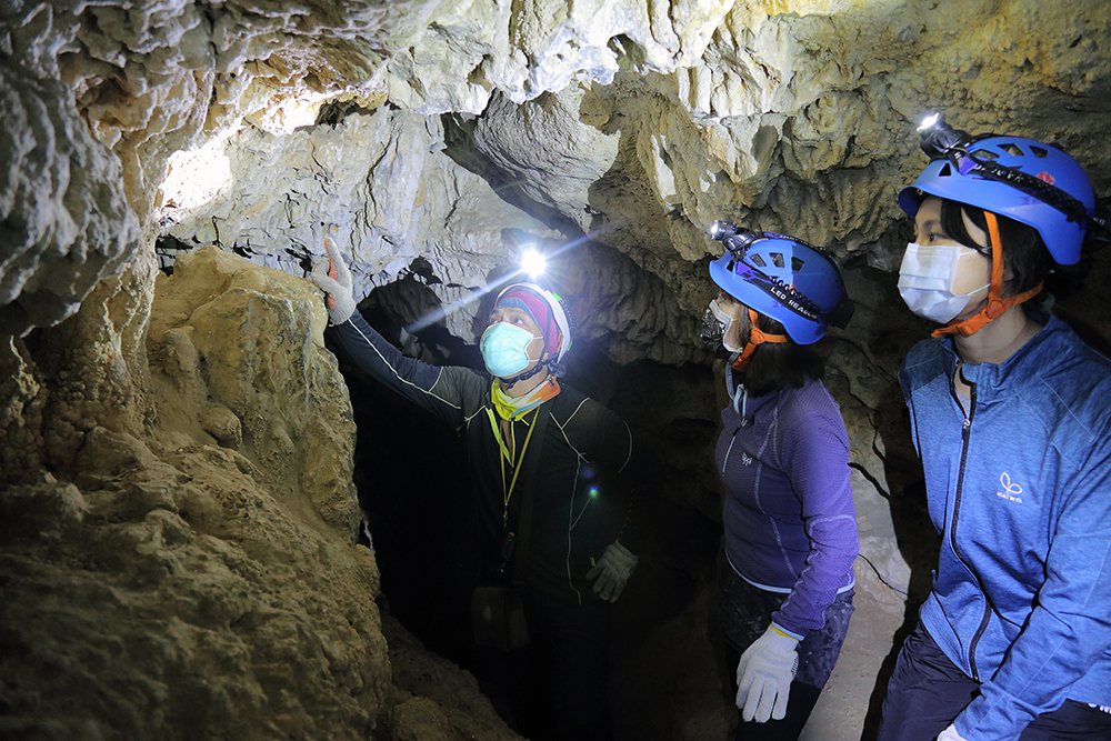 在石灰岩洞保育巡守員帶領下探洞，安全安心外，更能學習到許多地質及生物知識。 圖／...