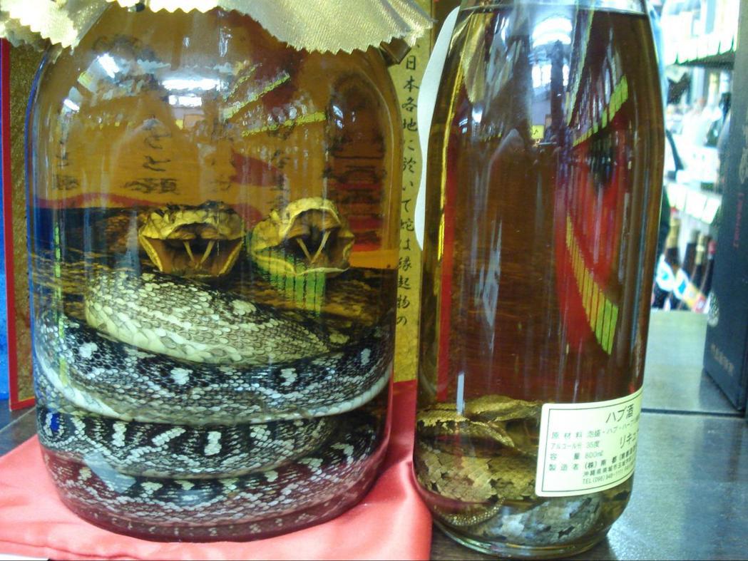 用波布蛇浸泡的藥酒是沖繩名產之一。
 圖／Wiki