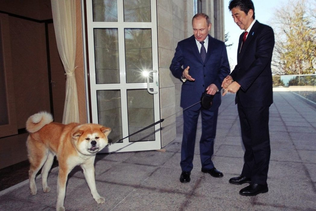 日本在2012年送給普丁一隻秋田犬「夢」（Yume），作為感謝俄羅斯支援311震...