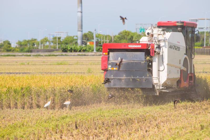 聯合國昨天公布最新氣候變遷報告，科技部研究顯示，在暖化升溫攝氏2度與4度下，台灣周邊海平面可能分別上升0.5及1.2公尺，可能會導致西南沿海地勢較低窪地區的淹水，也會導致水稻明顯減產。本報資料照片