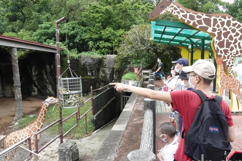 台北市政府醞釀調漲台北市立動物園的門票，從60元漲至120元，引發熱議。圖／聯合報系資料照片