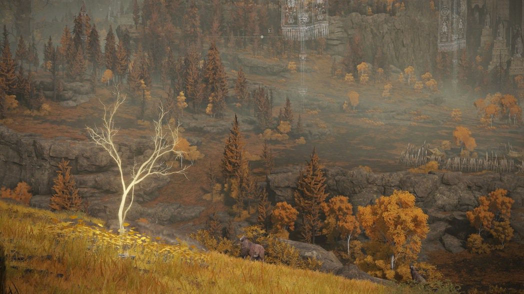 每個區域都有好幾棵金色小樹，玩家可在樹根處撿到「黃金種子」。 圖／擷自遊戲