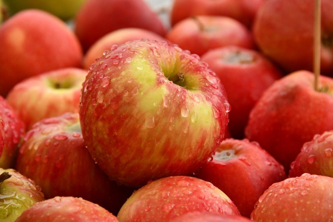 蘋果內含的維生素B6可協助製造抗體與血紅素。 圖／unsplash