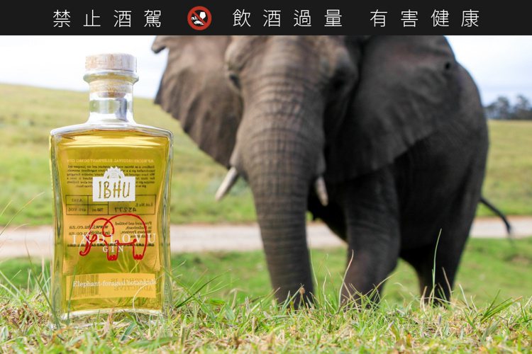 南非大象琴酒Indlovu，即日起正式登陸台灣。圖／RÒU BY T-HAM精品...