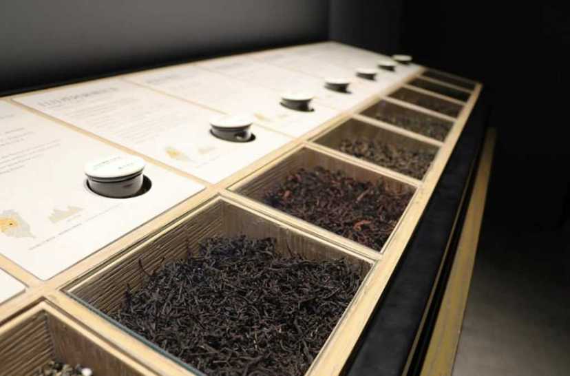 清朝後期的台灣，茶葉是最大的生產和出口品。 圖／IG　@mytaiwantour
