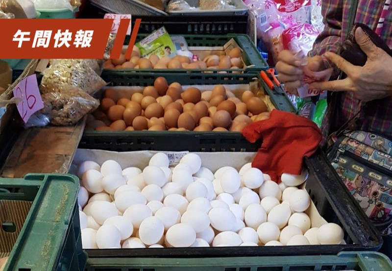 北部蛋荒嚴重，農委會主委陳吉仲表示，中南部天氣漸好，雞蛋產量會增加。圖／聯合報系資料照片