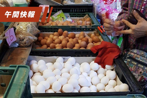 北部蛋荒嚴重，農委會主委陳吉仲表示，中南部天氣漸好，雞蛋產量會增加。圖／聯合報系資料照片