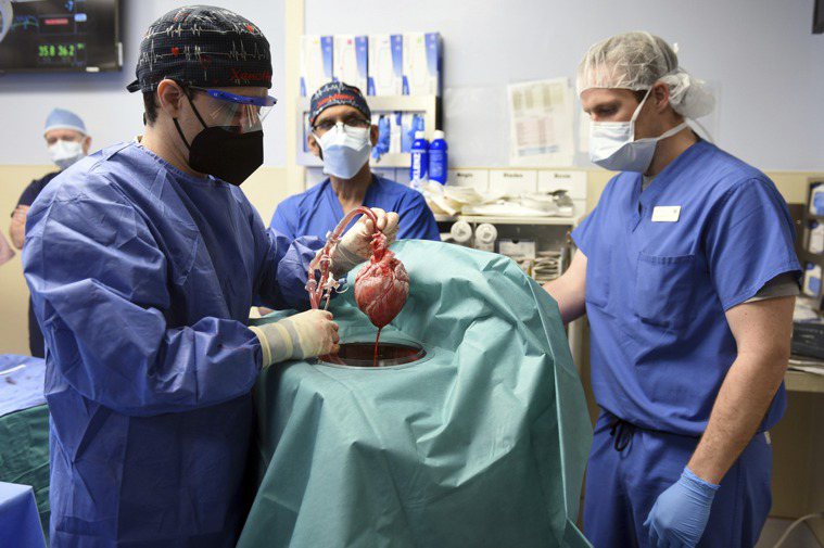 馬里蘭大學醫學中心醫療團隊年初成功將豬心移植到57歲男子班奈特（David Be...