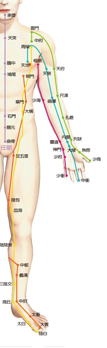 肝經有14個穴位，兩側共28穴。其中12穴位在大腿內側。由腳趾往上走，起...