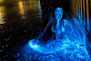 在上月底，冒著6度低溫，一名身材曼妙的簡小姐穿著比基尼，到新湖漁港拍下一組「出水芙蓉」的美照，讓不少地方得知金門有藍眼淚。圖／讀者提供