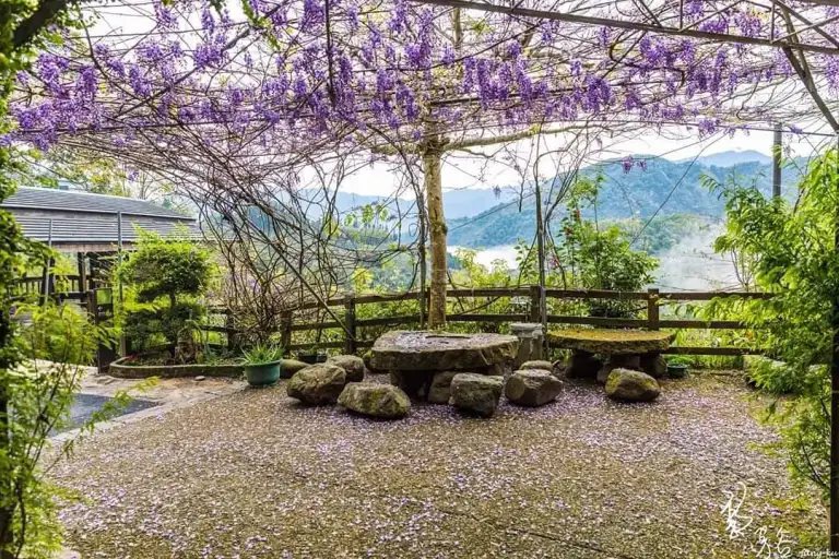 只要在3月期間入住瑞里村合法旅宿，就可以向民宿業者預約，免費體驗坐在紫色花海下品...