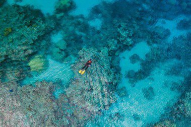 ROLEX支持保育珊瑚礁。圖／勞力士提供