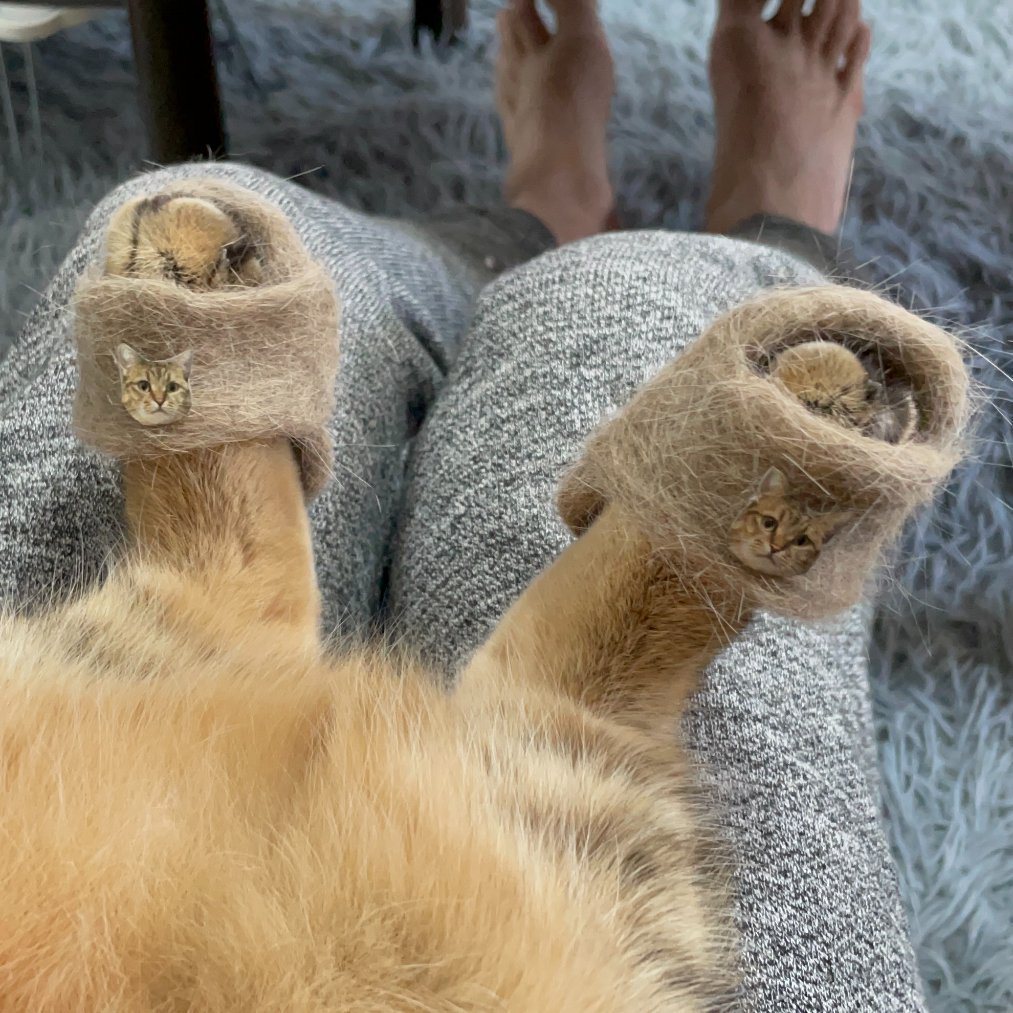 貓奴巧手把虎斑貓掉下來的貓毛製作成一雙可愛的小拖鞋。 (圖/取自推特)