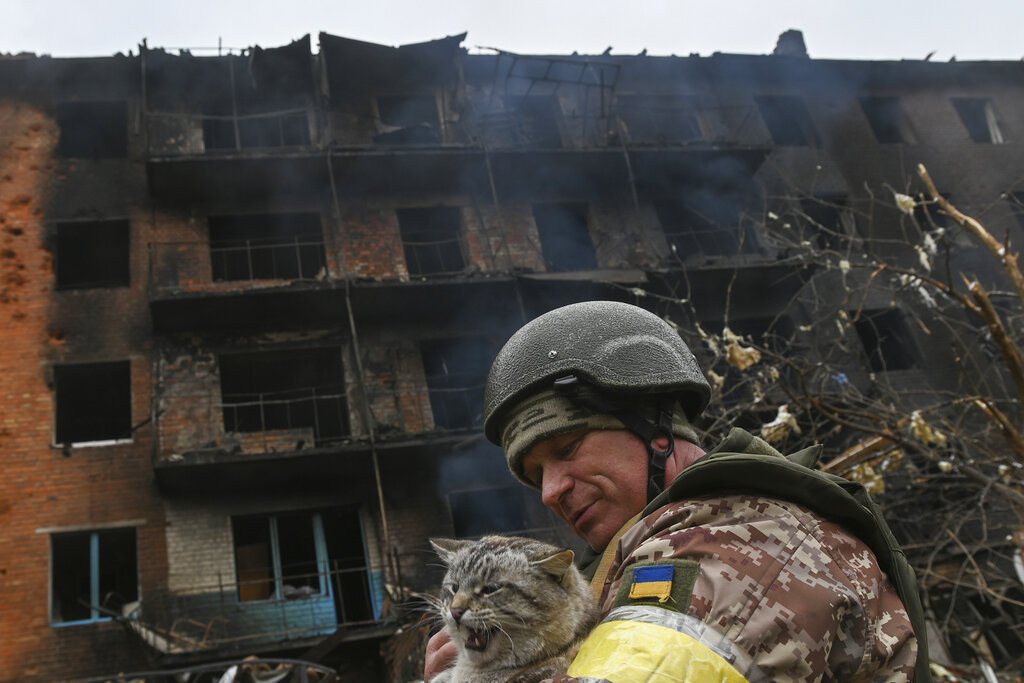 一名烏克蘭軍人在瓦西里基夫一棟嚴重受損的公寓樓前抱著一隻流浪貓 圖／美聯社