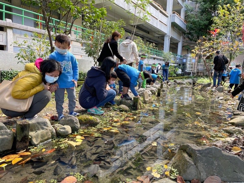 幼兒園學生帶領參與課程成員參觀青蛙池。圖／思賢國小提供