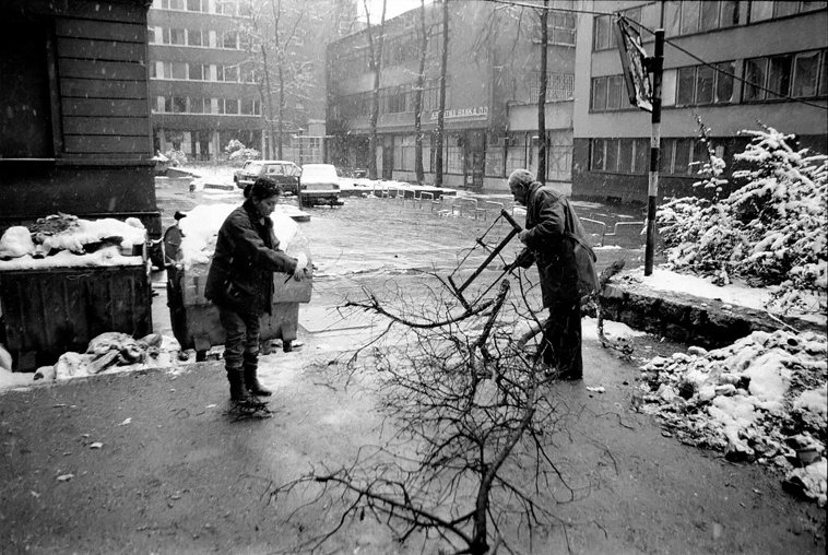 1993年冬季收集樹木作為燃料的市民 圖／取自維基百科
