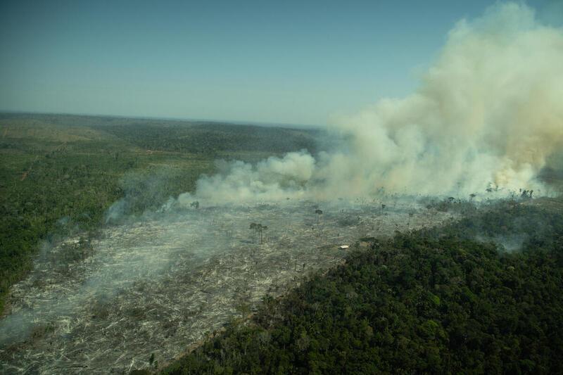 氣候變遷加上大面積濫伐、農牧活動的燃燒整地，已經讓亞馬遜雨林變得炎熱乾燥。 圖／...
