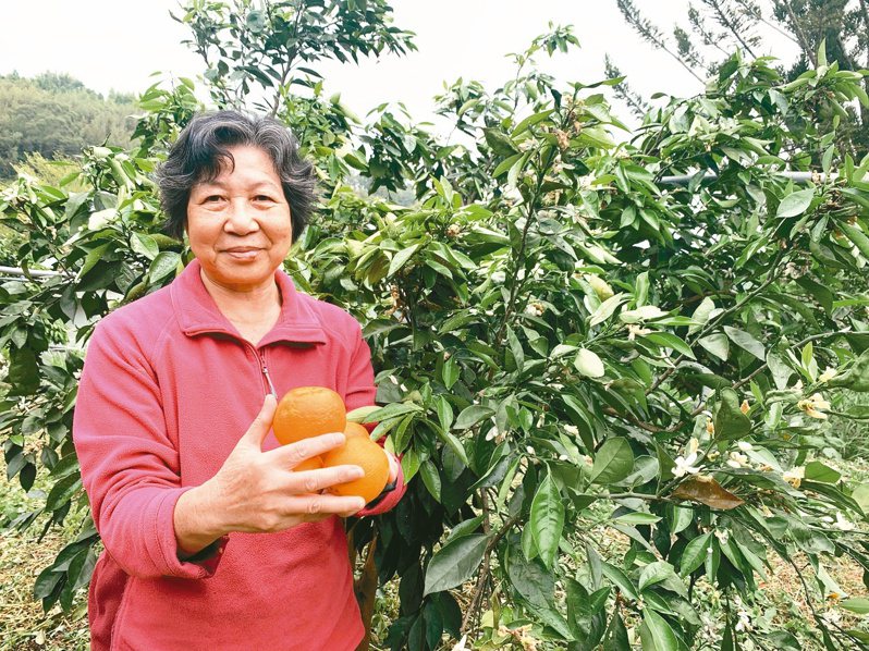 何春景獲得新竹縣農民節傑出婦女表揚，農會稱讚她對地方社區發展及推展農業的貢獻。記者巫鴻瑋／攝影