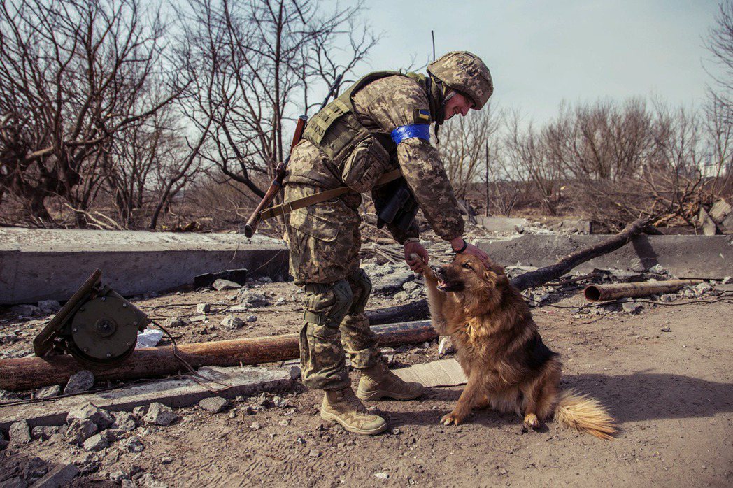 伊爾平戰場上的烏克蘭士兵與狗。 圖／路透社