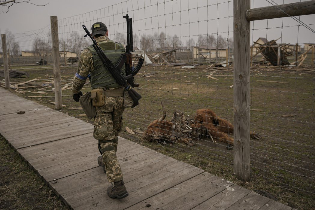 烏克蘭軍人路過嚴重受損的私人動物園，可見園區動物喪生的動物。 美聯社