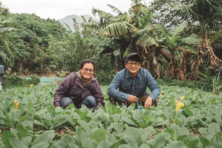 六代続く関渡の農場を経営する王宣智氏(右)と鄭亦真氏(左)は、初となるサスティナブルな農法を取り入れました。