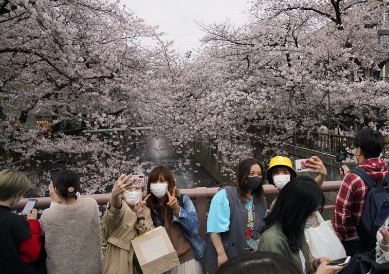 日本修改后的民法今天起施行，成人年龄由20岁下调至18岁。图为东京赏樱民众。 欧新社(photo:UDN)
