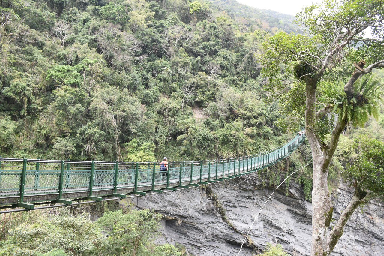 山風1號吊橋的墨綠色鋼索吊橋橫跨溪谷深壑，山高水深的景色中，民眾更能感受大自然宏...