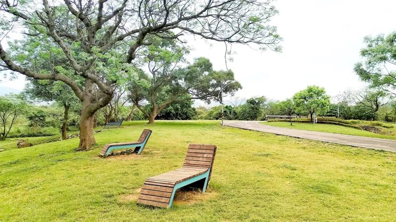 在苦楝樹下躺椅享受紫雪紛飛的浪漫時光。 圖／新北高灘處提供