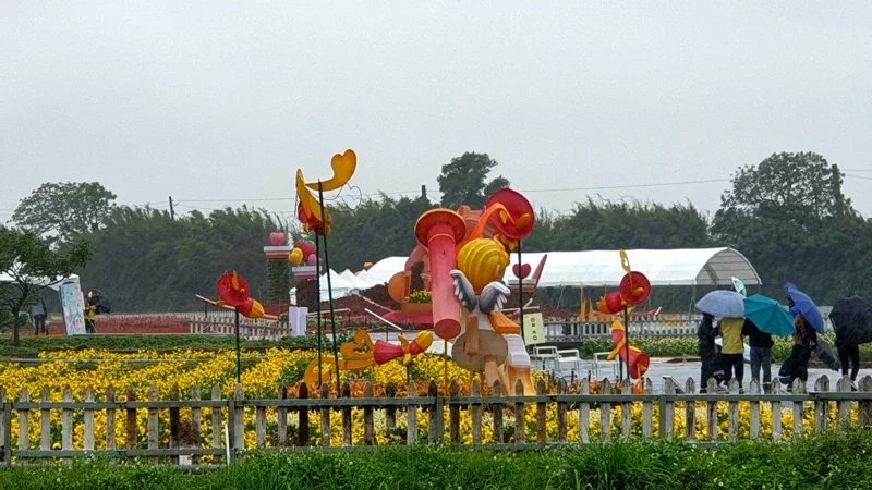 桃園海芋季在風雨中開幕。 圖／鄭國樑 攝影