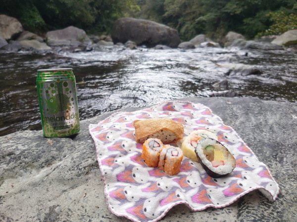溪畔野餐