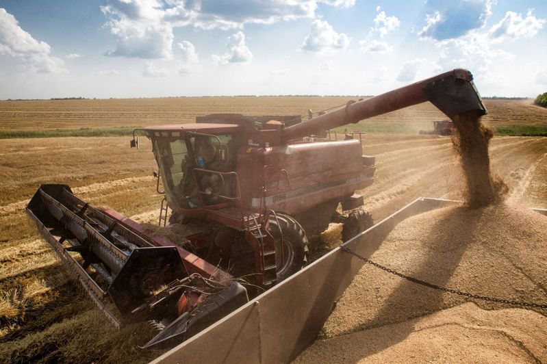 烏克蘭生產的小麥餵養全世界，如今正因港口遭到俄軍封鎖無法運出國。當地農民透露，雖然戰爭可能導致今年產量下滑，但由於去年破紀錄大豐收，穀物現已堆滿了糧倉。路透／資料畫面