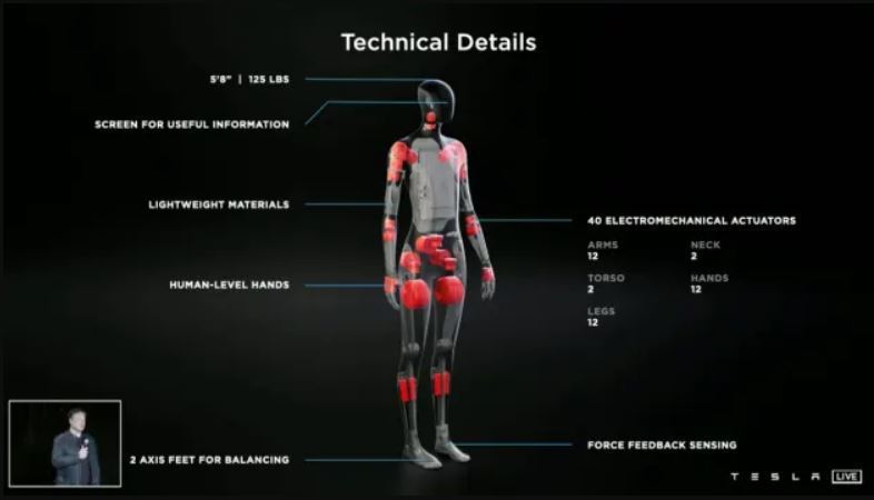 Optimus机器人高度约5呎8吋（173公分），与特斯拉电动车自驾技术採用相同的晶片和感应器。图／撷自特斯拉(photo:UDN)