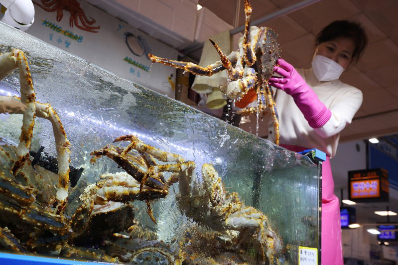 南韩首尔鹭梁津水产市场里贩卖的俄罗斯进口帝王蟹。路透(photo:UDN)